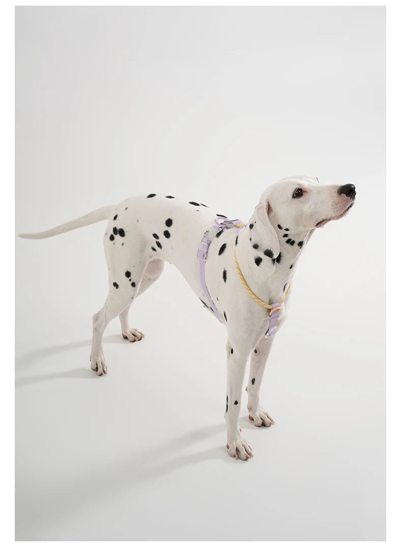 Summer Dog Harness For Medium Large Dog Cooling Breathable Vest Harness NO Pull Comfortable Outdoor Walking Fashion Pet Supplies Pawzies