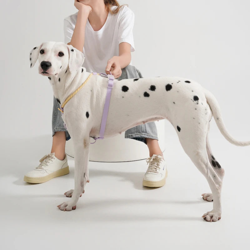 Summer Dog Harness For Medium Large Dog Cooling Breathable Vest Harness NO Pull Comfortable Outdoor Walking Fashion Pet Supplies Pawzies