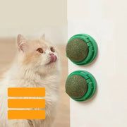 The Catnip Cat Wall Stick-on Ball Toy Scratchers Treats Healthy Natural Removes Balls to Promote Digestion Cat Grass Snack Pawzies