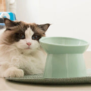 Cat Ceramic Bowl High Foot Tilted Pet Food Bowl Small Dogs Cats Drinking Water Feeders Bowl Anti Vomiting Cats Feeding Supplies Pawzies