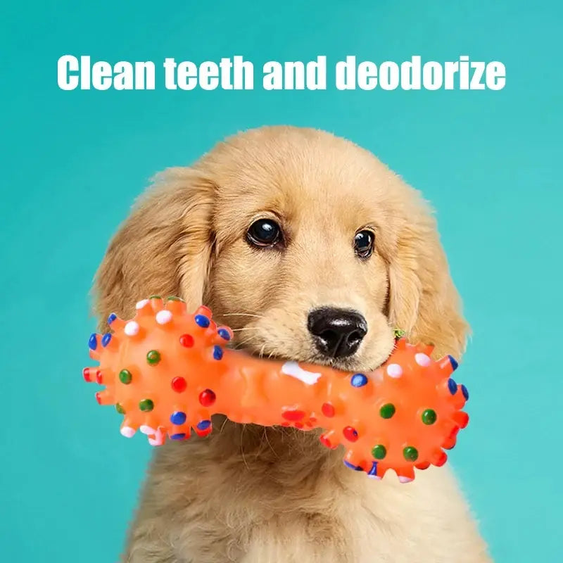 1PC Dog Chew Toy Natural Rubber Safety and Environmental Protection Flexible Bite Resistance Clean Teeth Pawzies