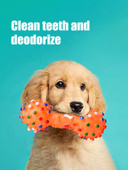 1PC Dog Chew Toy Natural Rubber Safety and Environmental Protection Flexible Bite Resistance Clean Teeth Pawzies