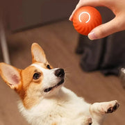 Dog Toy Ball Automatic Moving Bouncing Rolling Ball USB Smart puppy Interactive Dog Chew Toy Ball Pawzies