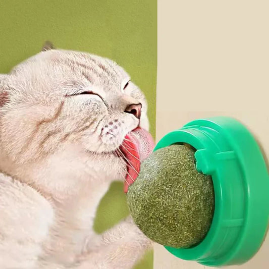 The Catnip Cat Wall Stick-on Ball Toy Scratchers Treats Healthy Natural Removes Balls to Promote Digestion Cat Grass Snack Pawzies